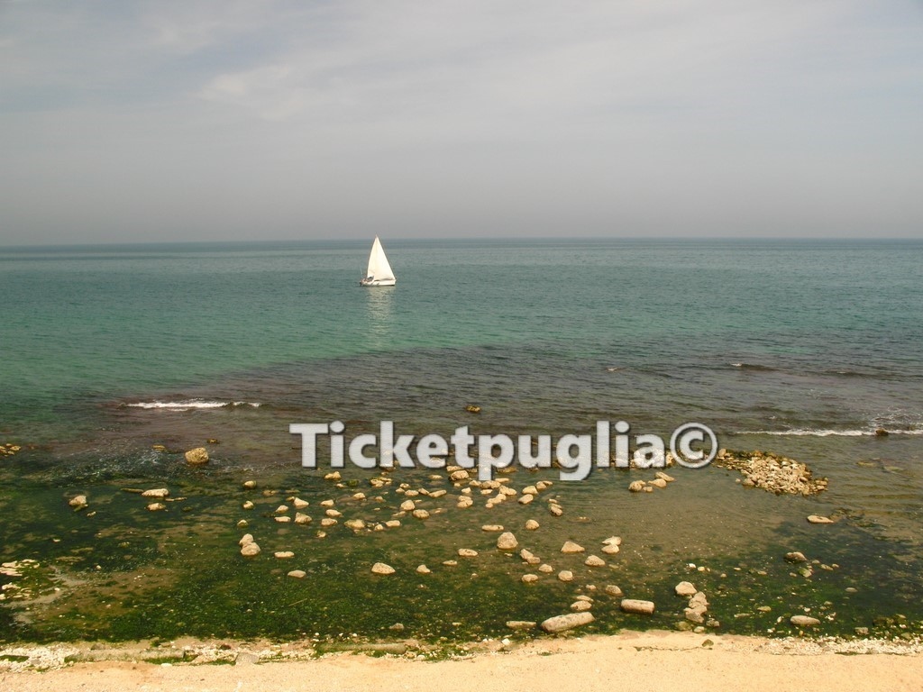 LUNGOMARE COLOMBO - TRANI